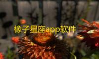 橡子星座app软件